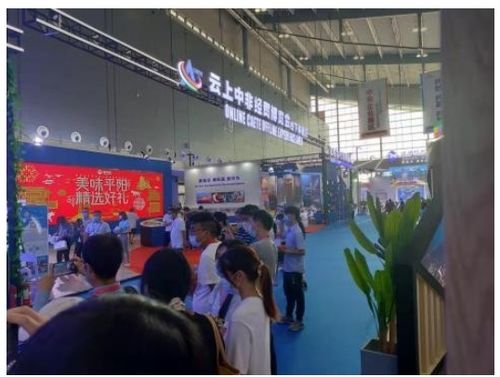 惠农网携平阳农特产品亮相第二届中非经贸博览会